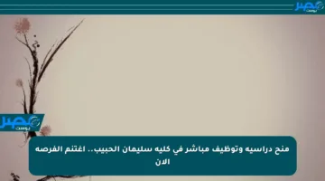 منح دراسية وتوظيف مباشر في كلية سليمان الحبيب.. اغتنم الفرصة الآن